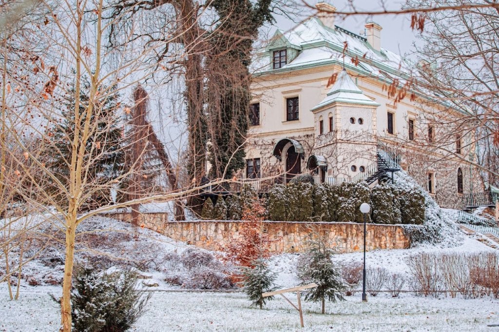 Kışın Odrowąż Sarayı