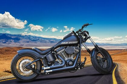 harley davidson sorunlari