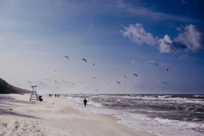 Deniz Kenarında Kış Yürüyüşleri Linea Mare