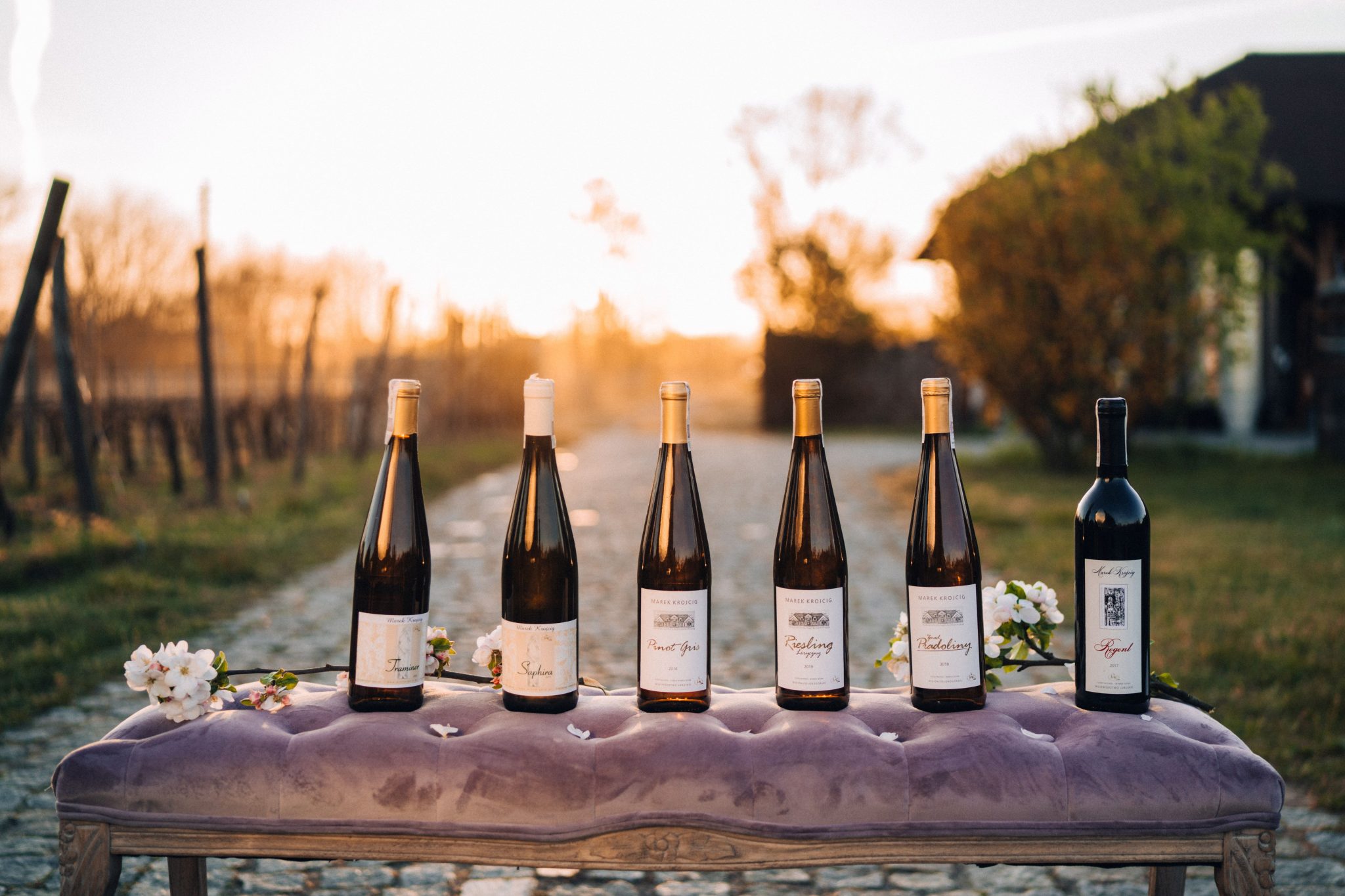 Zielona Gora'daki Bağlar