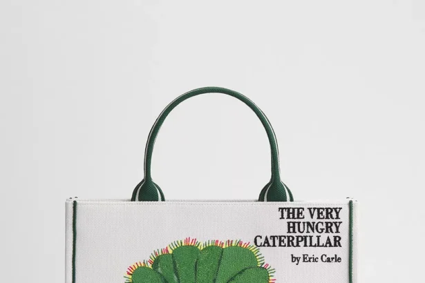 Dior Book Tote Kitap Moda Olduğunda