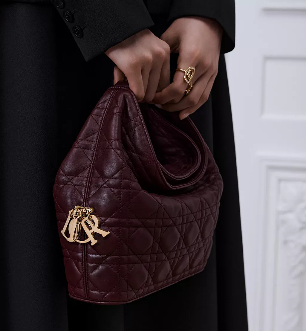 Bordo Dior &Ccedil;anta